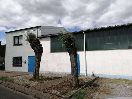 Foto - Halle in Alpen 1.500,00 € 250 m²