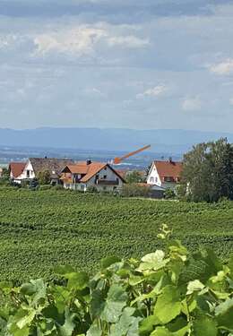Foto - Haus zum Kaufen in Ballrechten-Dottingen 950.000,00 € 236 m²