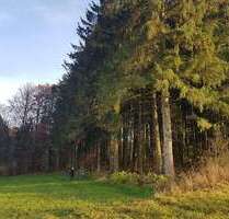 Grundstück in Hormersdorf Schnaittach 69.000,00 € 15400 m²