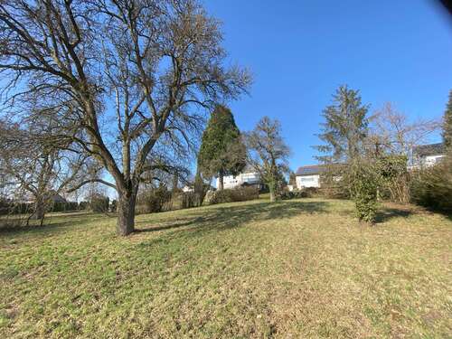 Foto - Grundstück zu verkaufen in Neuenstein 345.300,00 € 1151 m²