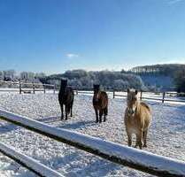 Haus zum Kaufen in Hückeswagen 1.450.000,00 € 199 m²