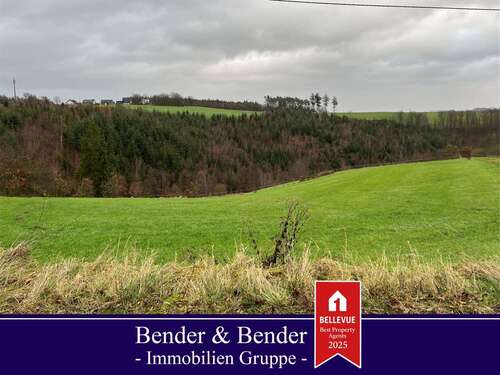 Foto - Grundstück zu verkaufen in Birken-Honigsessen 118.000,00 € 2363 m²