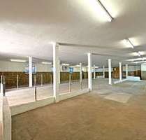 Halle in Irschenberg 2.220,00 € 350 m²