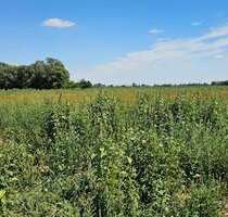 Grundstück in Großmehring 450.000,00 € 19743 m²