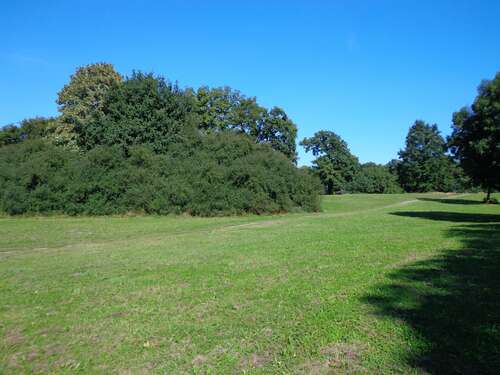 Foto - Haus zum Kaufen in Kummerfeld 429.000,00 € 140 m²