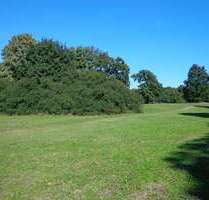 Haus zum Kaufen in Kummerfeld 429.000,00 € 140 m²