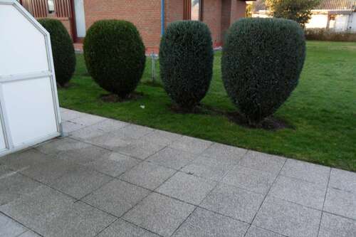 Foto - Wohnung zum Mieten in Vechelde 475,00 € 40 m²