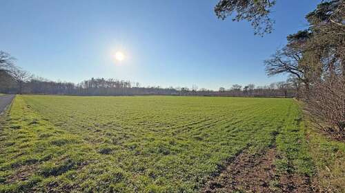 Foto - Grundstück in Hamminkeln 317.000,00 € 33315 m²