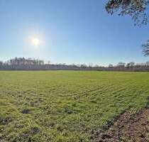 Grundstück in Hamminkeln 317.000,00 € 33315 m²