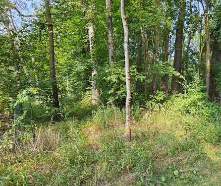 Foto - Grundstück in Großmehring 11.000,00 € 1290 m²