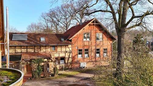 Foto - Haus zum Kaufen in Nienhagen 395.000,00 € 230 m²