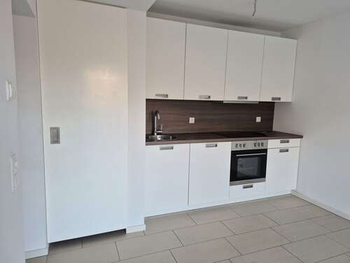Foto - Wohnung zum Mieten in Zwickau 325,00 € 35.73 m²