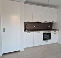 Wohnung zum Mieten in Zwickau 325,00 € 35.73 m²
