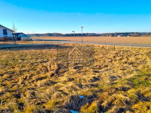 Foto - Grundstück zu verkaufen in Oberpframmern 535.000,00 € 510 m²