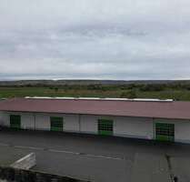 Halle in Walschleben 7.000,00 € 1700 m²