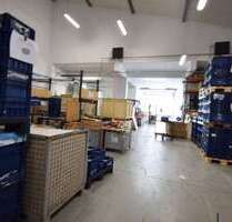 Halle in Edingen 3.300,00 € 270 m²