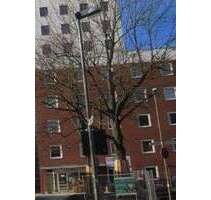 Wohnung zum Mieten in Göttingen 410,00 € 30 m²