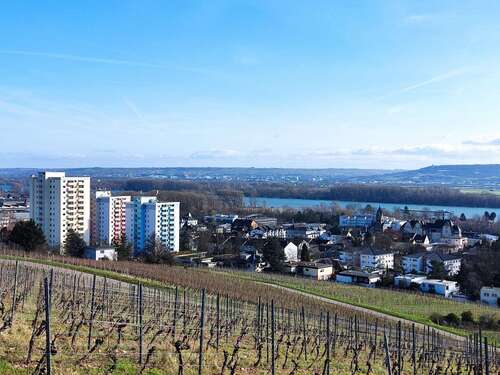 Foto - Wohnung zum Kaufen in Geisenheim 175.000,00 € 45 m²