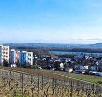 Wohnung zum Kaufen in Geisenheim 175.000,00 € 45 m²