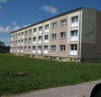 Wohnung zum Mieten in Hagebök 217,00 € 39.4 m²