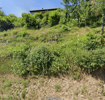 Grundstück zu verkaufen in Altensteig 99.000,00 € 473 m²