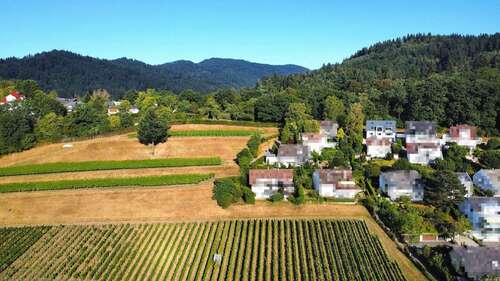 Foto - Wohnung zum Kaufen in Merzhausen 850.000,00 € 100 m²