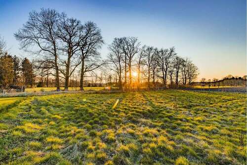 Foto - Haus zum Kaufen in Krelingen 421.850,00 € 166 m²