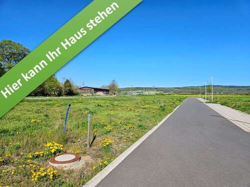 Foto - Haus zum Kaufen in Coppenbrügge 370.590,00 € 142 m²