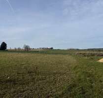 Grundstück zu verkaufen in Elsterberg 75.400,00 € 1004 m²