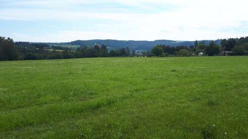 Foto - Grundstück zu verkaufen in Elsterberg 75.400,00 € 1004 m²