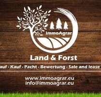 Grundstück in Limbach 38.500,00 € 9029 m²