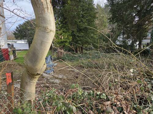 Foto - Grundstück zu verkaufen in Solingen 250.000,00 € 628 m²