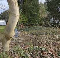 Grundstück zu verkaufen in Solingen 250.000,00 € 628 m²