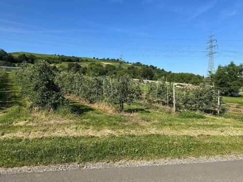 Foto - Wohnung zum Kaufen in Weinstadt-Beutelsbach 379.000,00 € 90 m²
