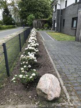 Foto - Wohnung zum Mieten in Otter 700,00 € 82 m²