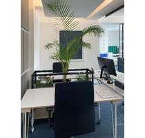 Büro in Bochum 180,00 € 4 m² - 180,00&nbsp;EUR Kaltmiete, ca.&nbsp; 4,00&nbsp;m&sup2; in Bochum (PLZ: 44809)