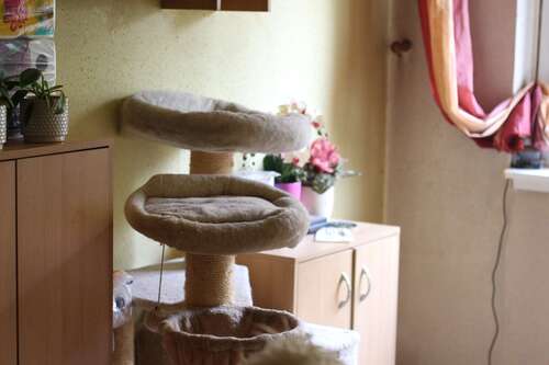 Foto - Wohnung zum Kaufen in Geithain 70.000,00 € 128.8 m²