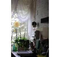 Wohnung zum Kaufen in Geithain 70.000,00 € 128.8 m²