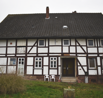 Haus zum Kaufen in Dassel 159.000,00 € 250 m²