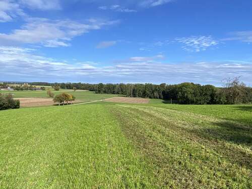 Foto - Grundstück zu verkaufen in Neu-Ulm 750.000,00 € 4821 m²