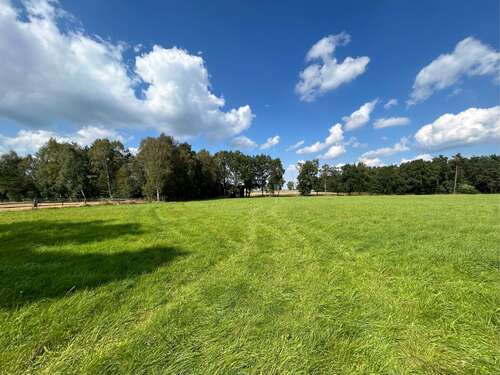 Foto - Haus zum Kaufen in Bispingen 2.200.000,00 € 450 m²