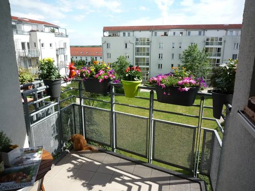 Foto - Wohnung zum Mieten in Halle 557,00 € 77.67 m²