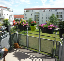 Wohnung zum Mieten in Halle 557,00 € 77.67 m²
