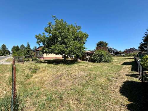 Foto - Grundstück zu verkaufen in Brieselang 198.000,00 € 964 m²