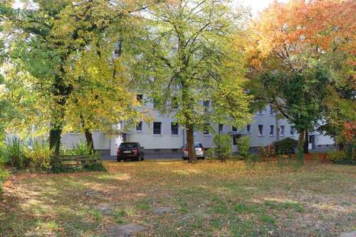 Foto - Wohnung zum Mieten in Dessau-Roßlau 410,00 € 59.9 m²