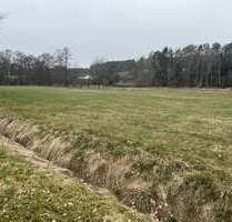 Haus zum Kaufen in Bienenbüttel 299.000,00 € 165 m²