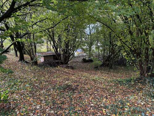 Foto - Grundstück zu verkaufen in Rinteln 80.000,00 € 950 m²