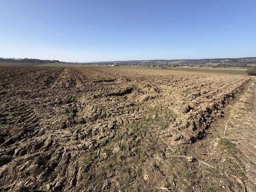 Foto - Grundstück in Reisbach Niederhausen 595.000,00 € 31258 m²