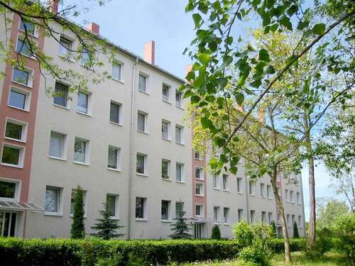 Foto - Wohnung zum Mieten in Magdeburg 390,00 € 59 m²
