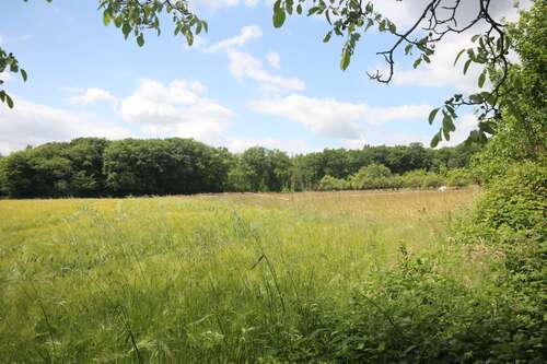 Foto - Grundstück zu verkaufen in Kelkheim 1.490.000,00 € 1297 m²